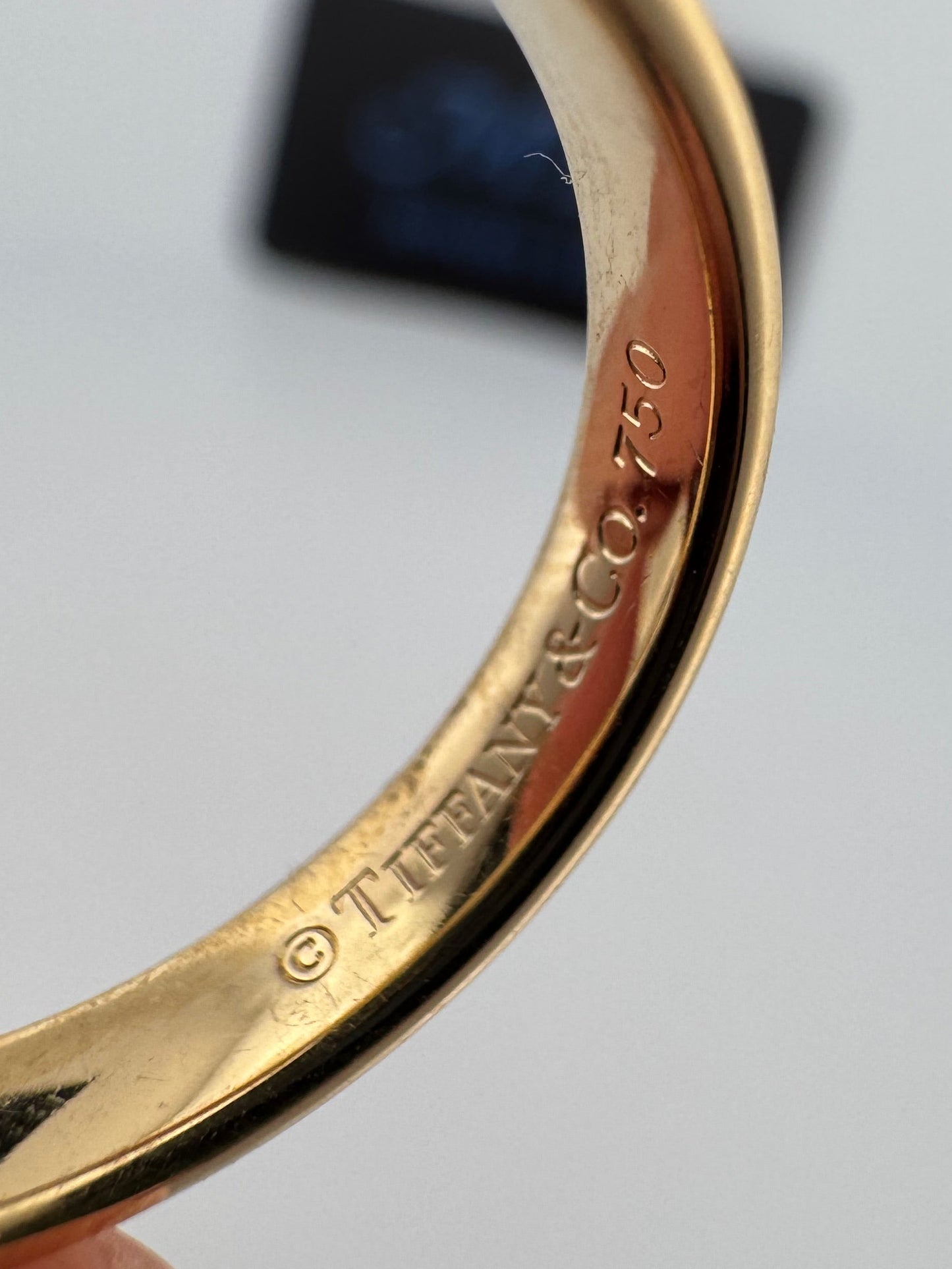 Tiffany & Co 1837 Interlocking circles Ring 18kt 925